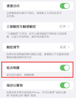 濮阳苹果授权维修站分享iPhone轻点无法唤醒怎么办 