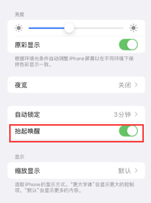 濮阳苹果授权维修站分享iPhone轻点无法唤醒怎么办