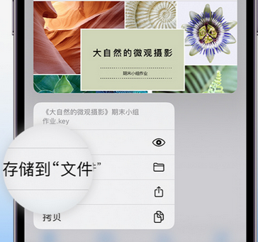 濮阳apple维修中心分享iPhone文件应用中存储和找到下载文件