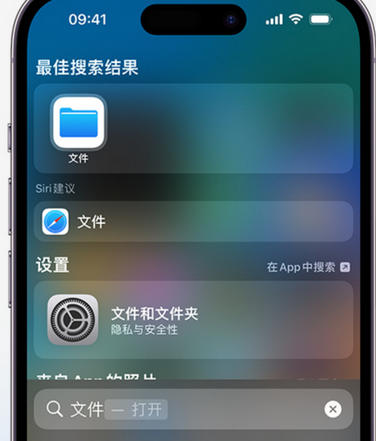 濮阳apple维修中心分享iPhone文件应用中存储和找到下载文件 