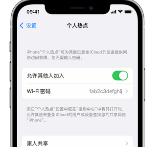 濮阳apple服务站点分享iPhone上个人热点丢失了怎么办 