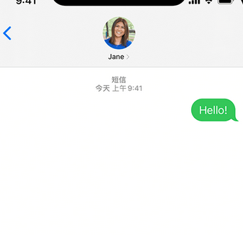 濮阳apple维修iPhone上无法正常发送iMessage信息