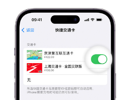 濮阳apple维修点分享iPhone上更换Apple Pay快捷交通卡手绘卡面 