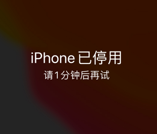 濮阳苹果手机维修分享:iPhone 显示“不可用”或“已停用”怎么办？还能保留数据吗？ 