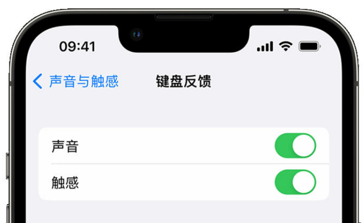 濮阳苹果手机维修分享iPhone 14触感键盘使用方法 