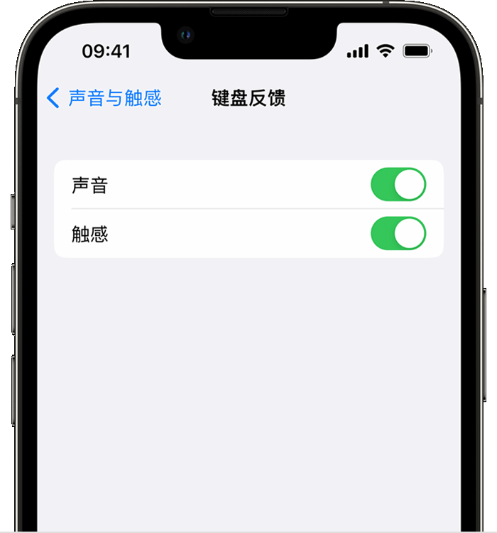 濮阳苹果14维修店分享如何在 iPhone 14 机型中使用触感键盘 