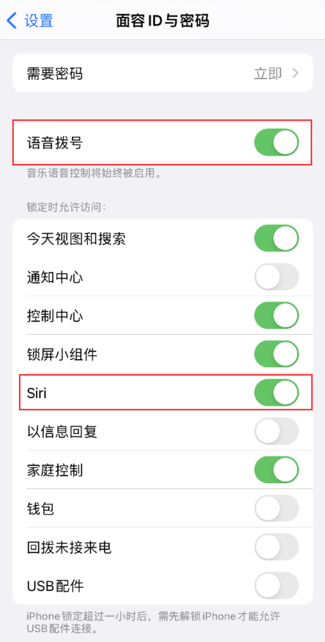 濮阳苹果维修网点分享不解锁 iPhone 的情况下通过 Siri 拨打电话的方法 