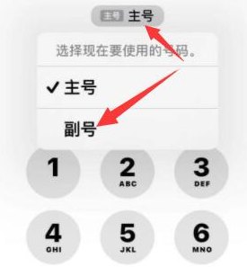 濮阳苹果14维修店分享iPhone 14 Pro Max使用副卡打电话的方法 