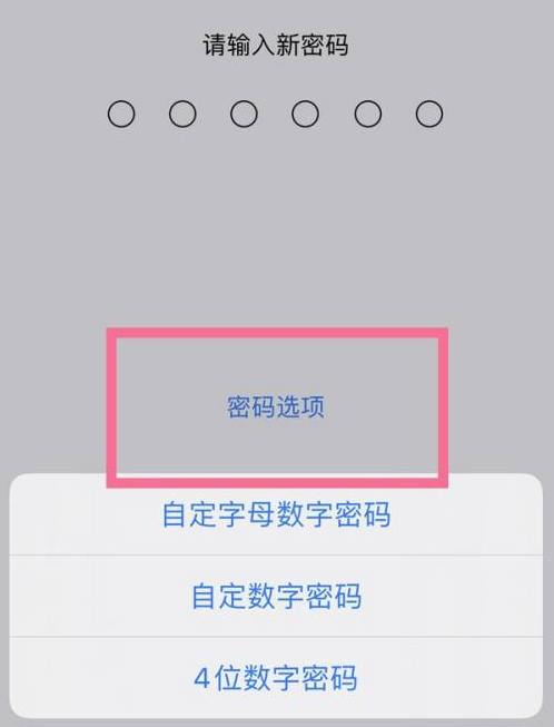 濮阳苹果14维修分享iPhone 14plus设置密码的方法 