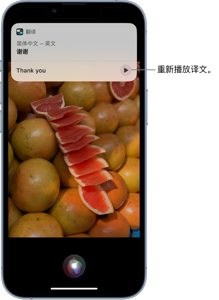 濮阳苹果14维修分享 iPhone 14 机型中使用 Siri：了解 Siri 能帮你做什么 