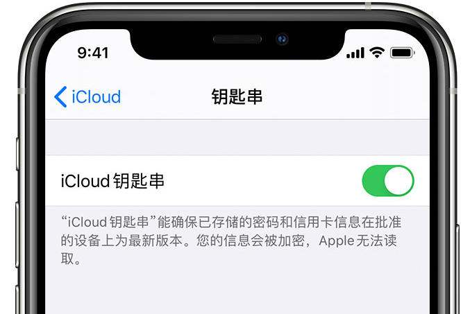 濮阳苹果手机维修分享在 iPhone 上开启 iCloud 钥匙串之后会储存哪些信息 