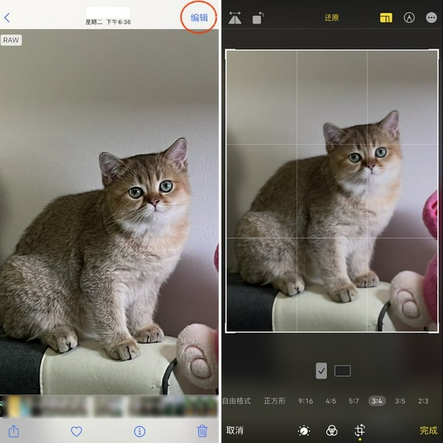 濮阳苹果手机维修分享苹果 iPhone 12 Pro 拍照会过度锐化 